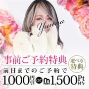 木更津花壇・事前ご予約特典！|木更津人妻花壇