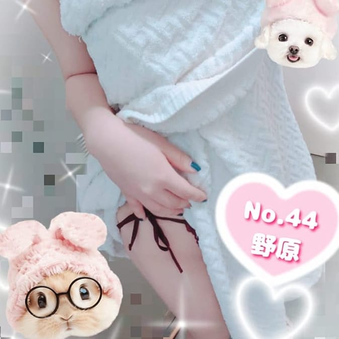 No.44野原