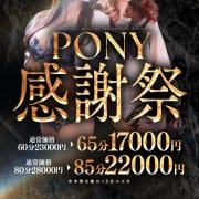 ポニー感謝祭開催！|ポニーテール和歌山店