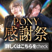 ポニー感謝祭開催|ポニーテール和歌山店