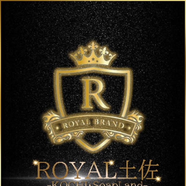 ＜新人割り＞ ☆入店日より5日間限定☆|ロイヤル土佐