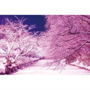 「☆期間限定１０００円～無限☆男達の挑戦！」02/15(日) 14:12 | ルピナスのお得なニュース