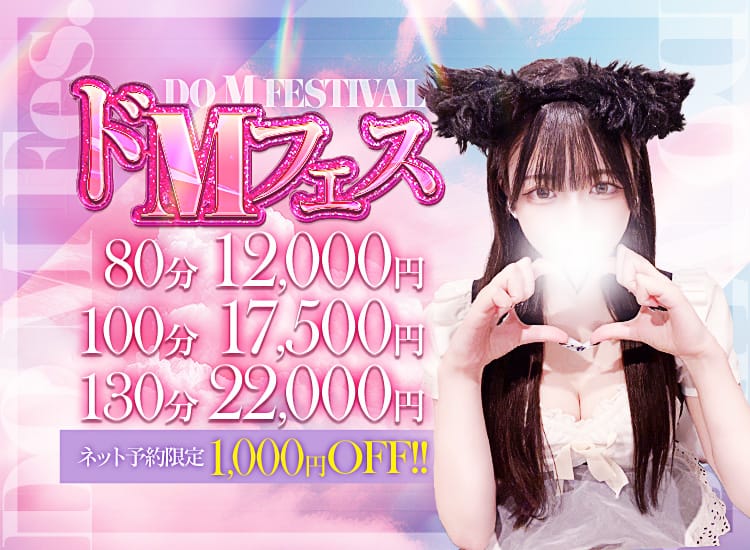 ドMバスターズ岡崎・安城・豊田店 - 岡崎・豊田(西三河)