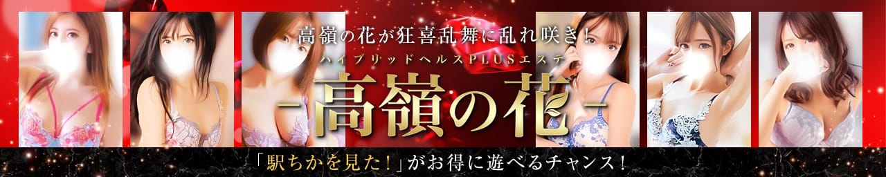 ハイブリッドヘルスPLUSエステ 高嶺の花