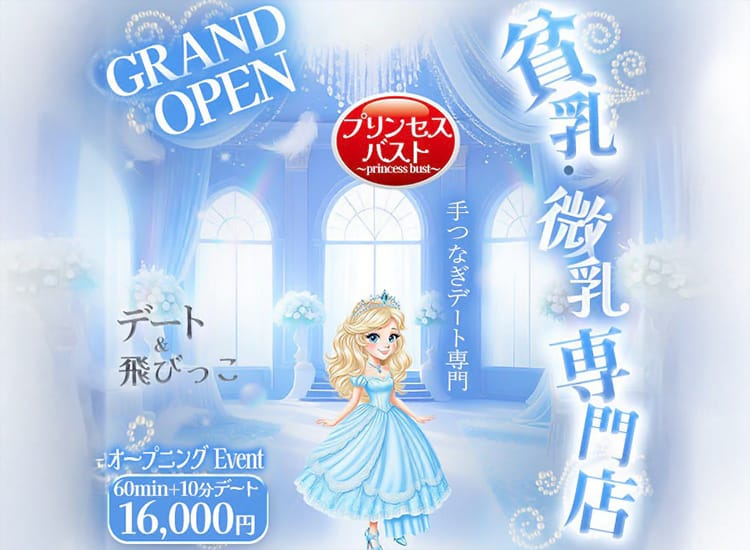 貧乳・微乳プリンセスバスト - 名古屋