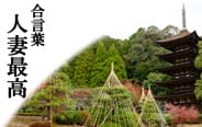 割引クーポン：【優良人妻店】セレブスタイル（山口～防府～萩）
