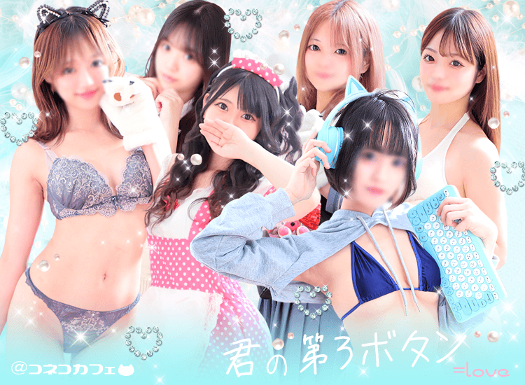 子猫カフェ - 北九州・小倉