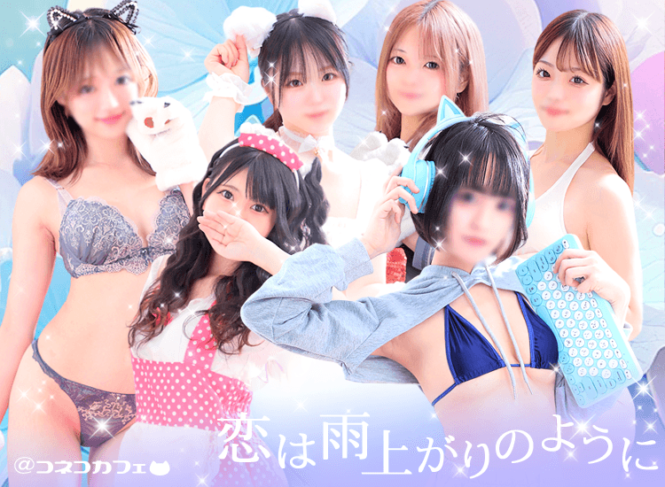 子猫カフェ - 北九州・小倉