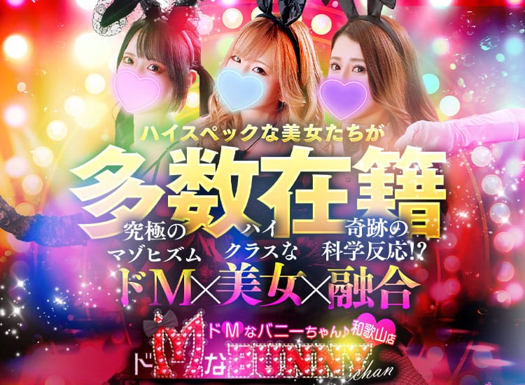 和歌山ドMなバニーちゃん - 和歌山市近郊