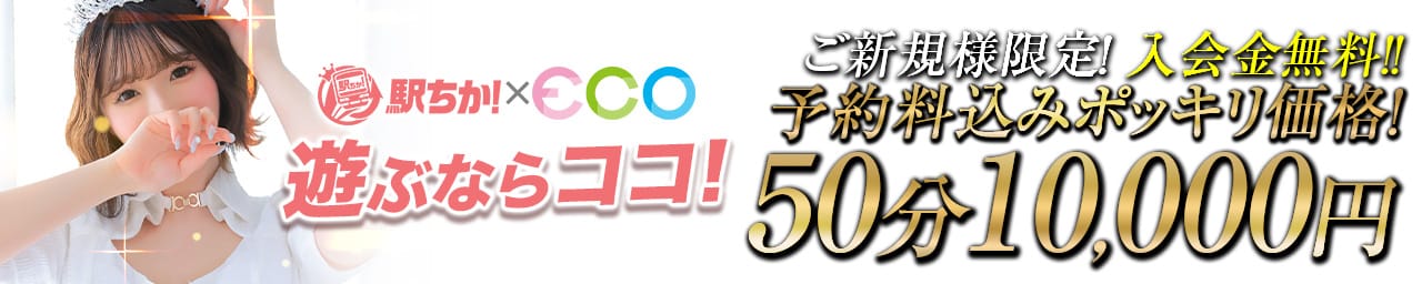 スピードエコ日本橋店